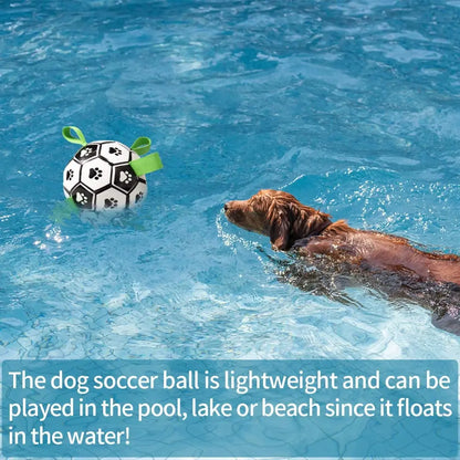 Dog Soccer Ball - Durable, Soft, Interactive Water Friendly Dog Toy