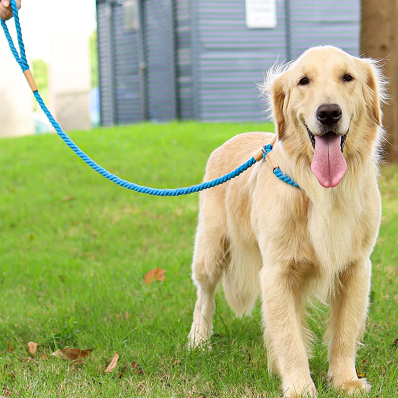 Durable Cotton Rope Dog Leash – Soft, No-Pull Training Lead