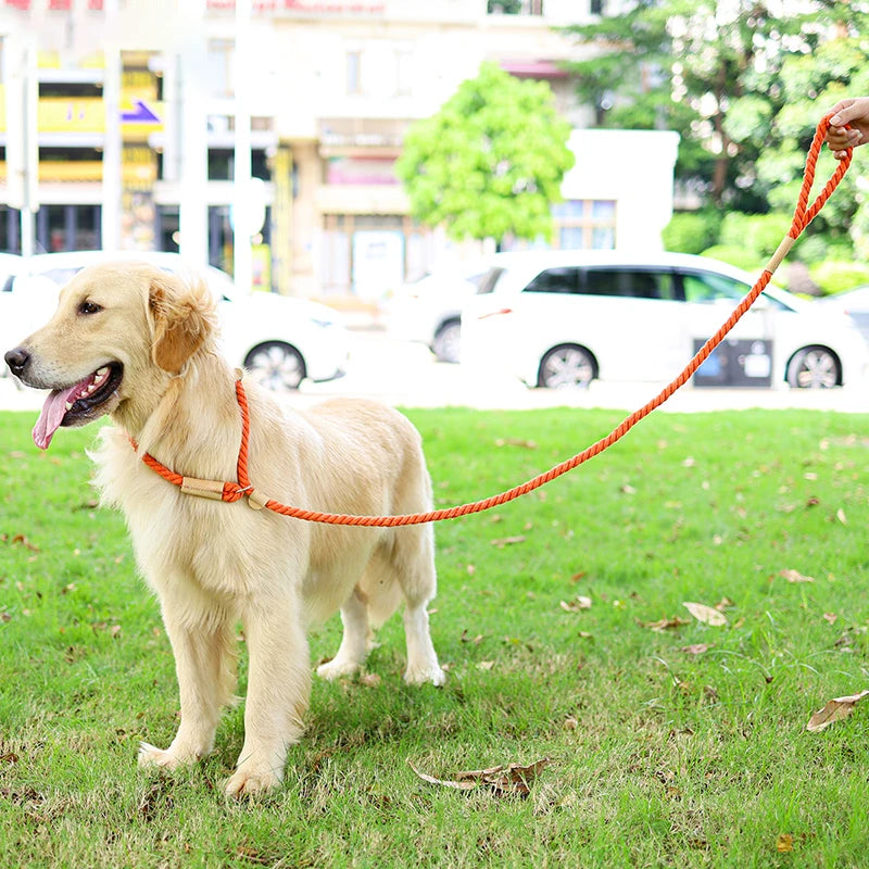 Durable Cotton Rope Dog Leash – Soft, No-Pull Training Lead