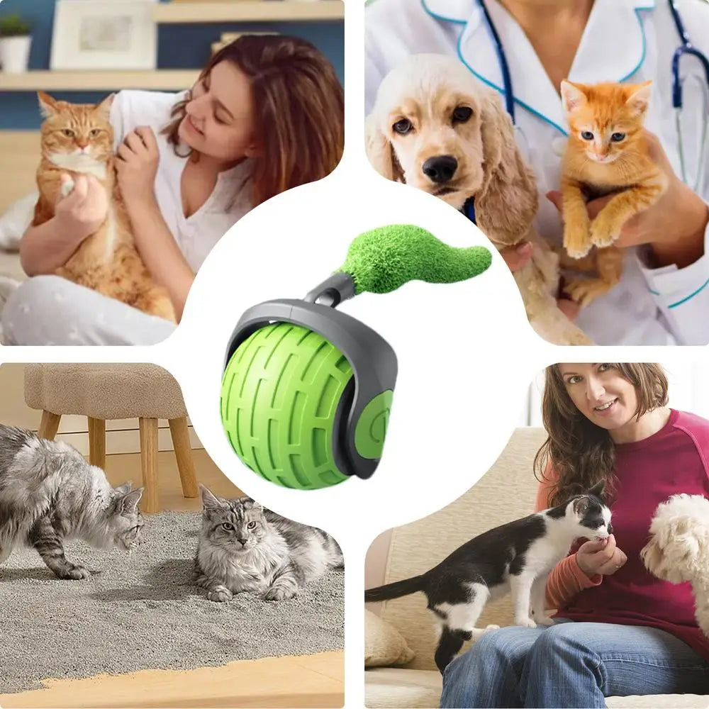 Automatic Cat Ball Toy - Interactive Play for Cats