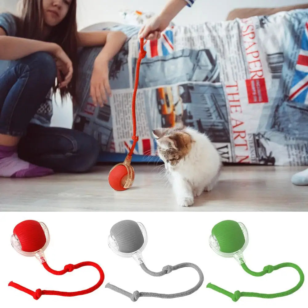 Whisker Wonderland Interactive Cat Toy Ball - Fun and Challenging Play for Cats