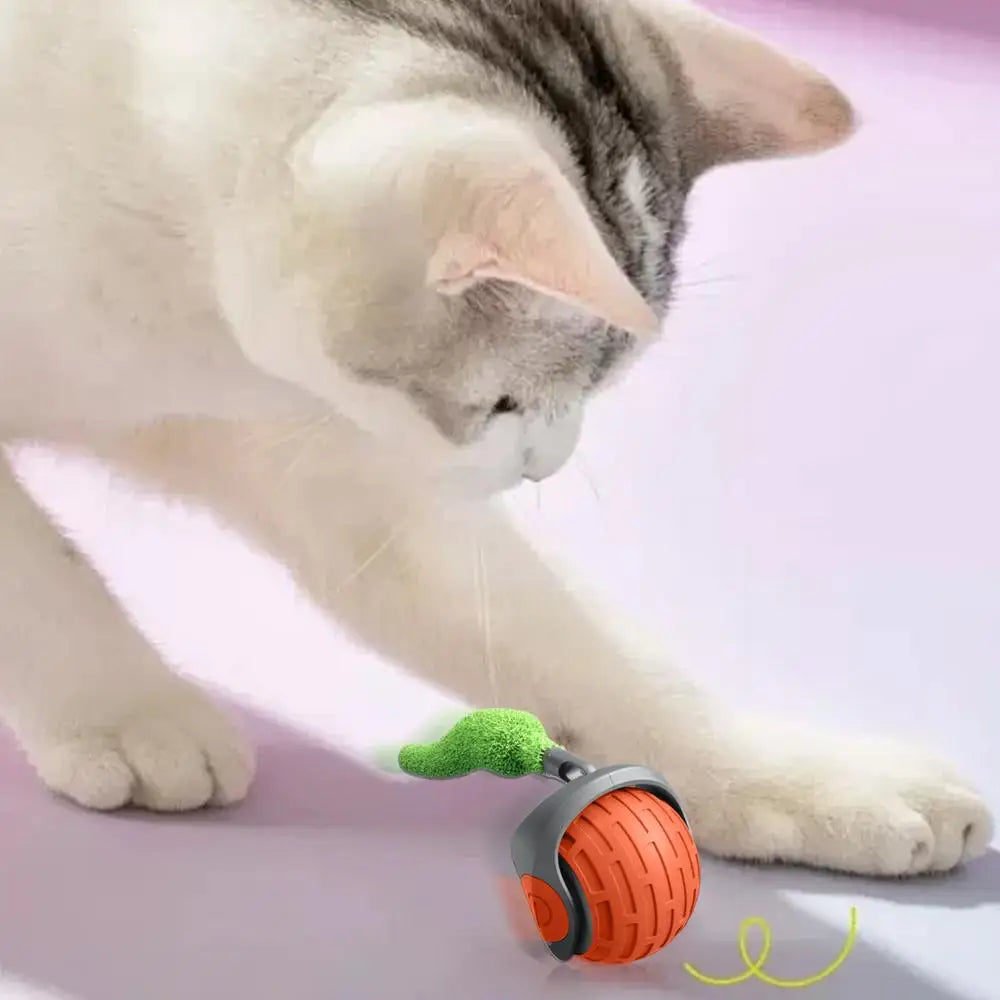 Automatic Cat Ball Toy - Interactive Play for Cats