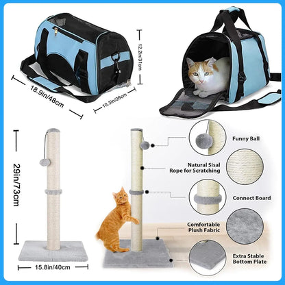 Kitten Starter Pack with Essentials, Scratching, Grooming, Travel Gear