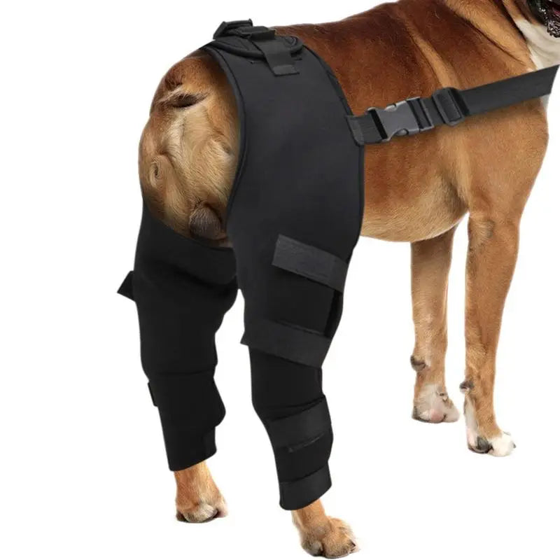 Adjustable Dog Rear Leg Braces - Hip and Joint Support for Injury Recovery