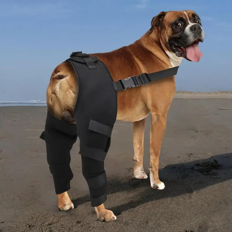 Adjustable Dog Rear Leg Braces - Hip and Joint Support for Injury Recovery