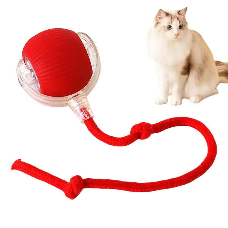 Whisker Wonderland Interactive Cat Toy Ball - Fun and Challenging Play for Cats