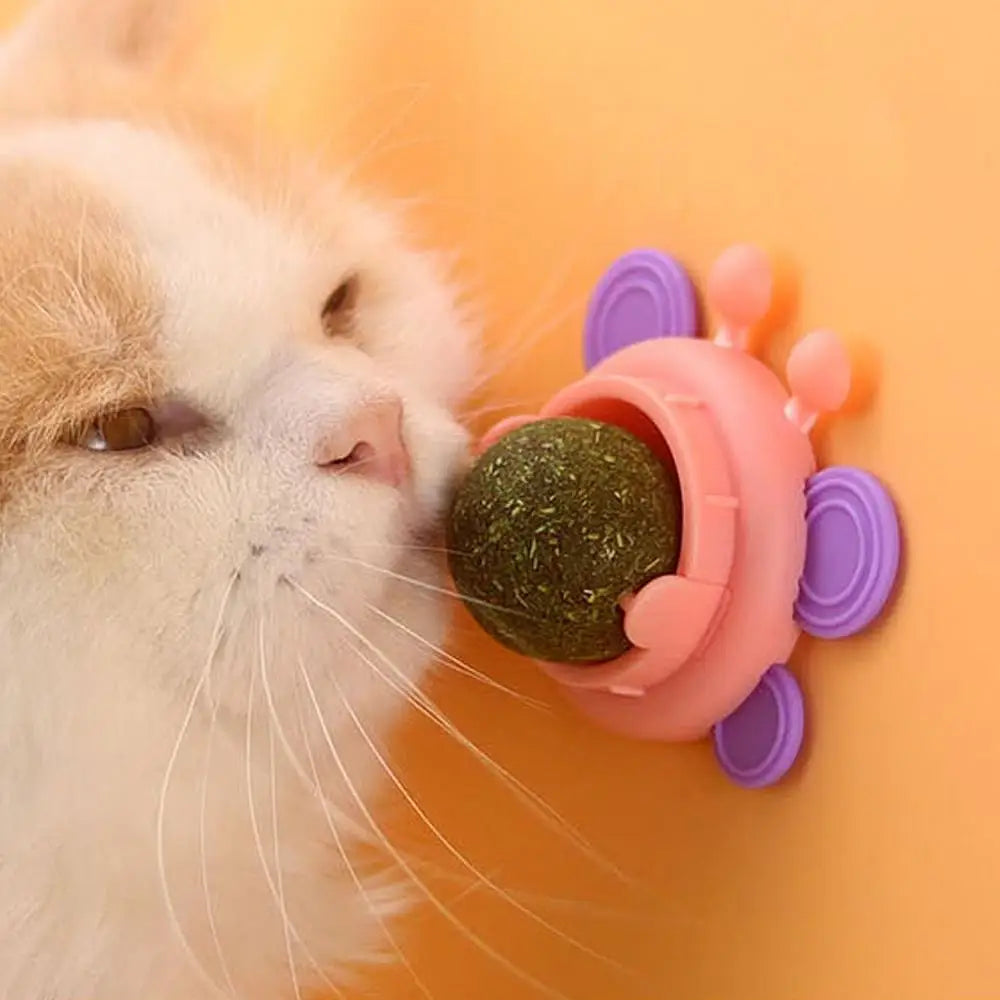 Rotatable Catnip Ball - Pure, Natural Bliss for Cats