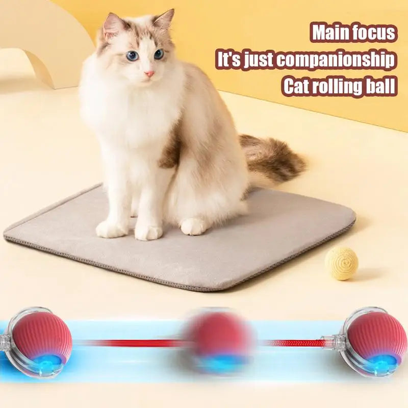 Whisker Wonderland Interactive Cat Toy Ball - Fun and Challenging Play for Cats