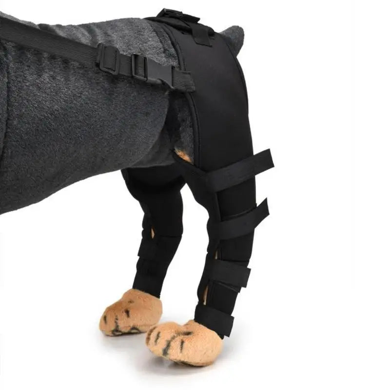 Adjustable Dog Rear Leg Braces - Hip and Joint Support for Injury Recovery