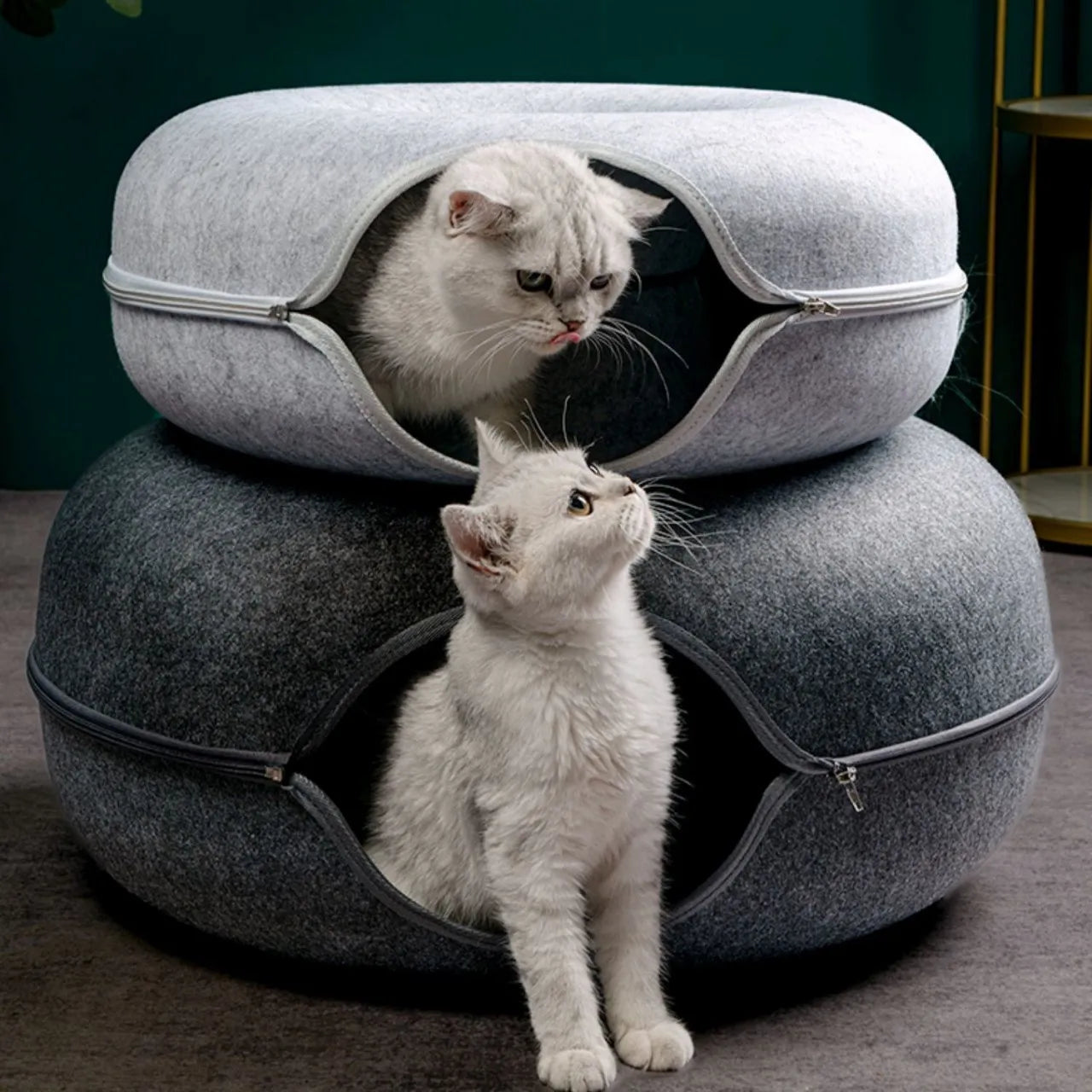 Foldable Cat Tunnel and Bed - Wool Felt Hideout for Play and Relaxation