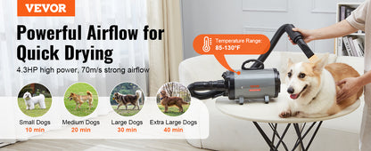 Powerful Pet Hair Dryer - Adjustable Temperature, 4 Nozzles, 2000W